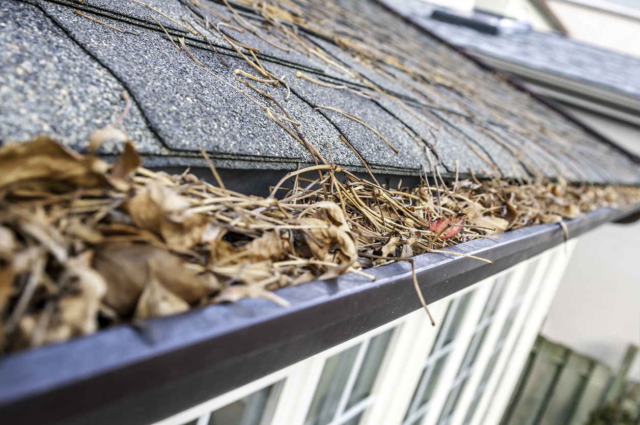 Leaves can cause extensive damage to your roof if not properly cleared.