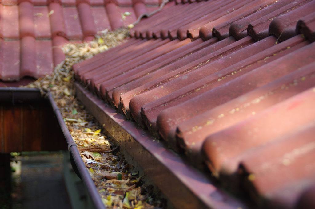 roof gutter filled with leaves and debris