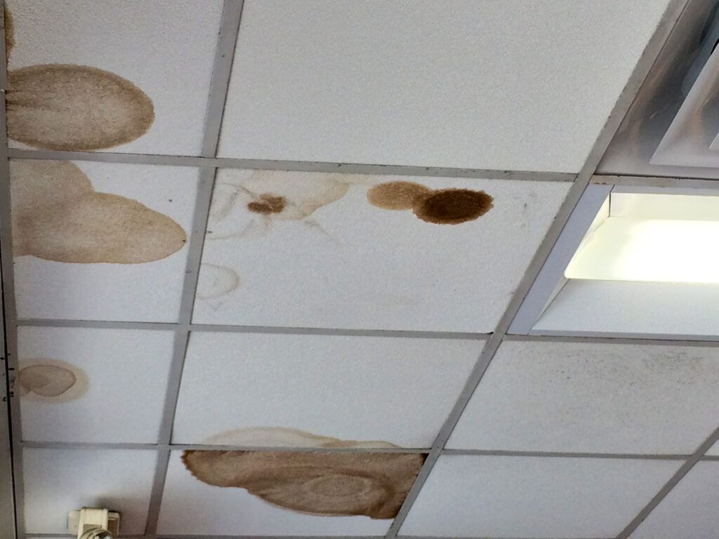 Water stains on ceiling