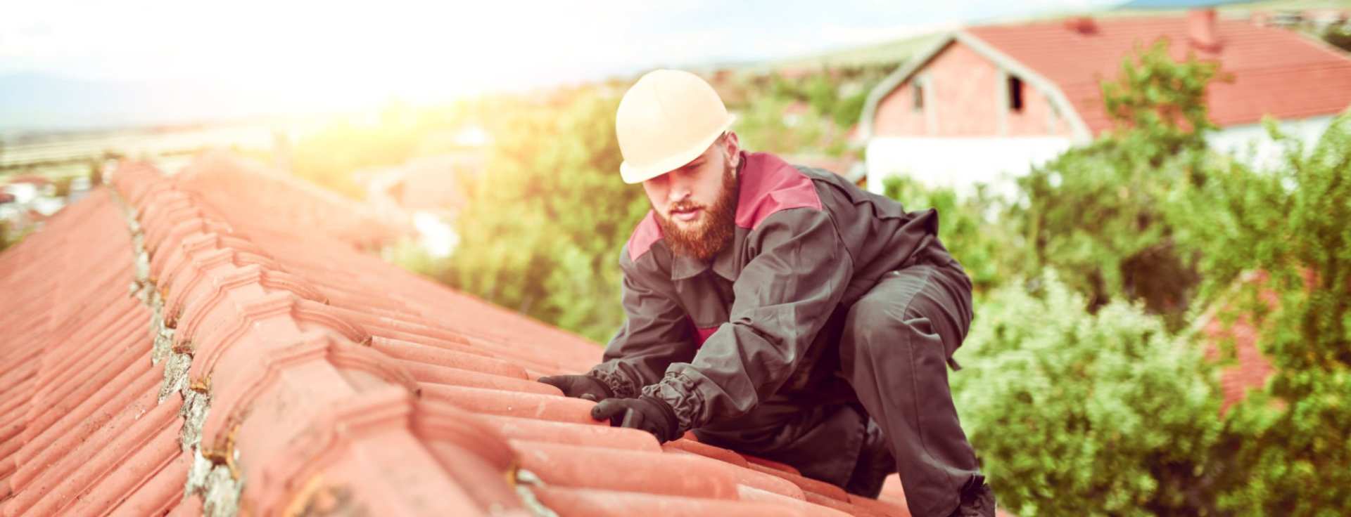 Roof Maintenance