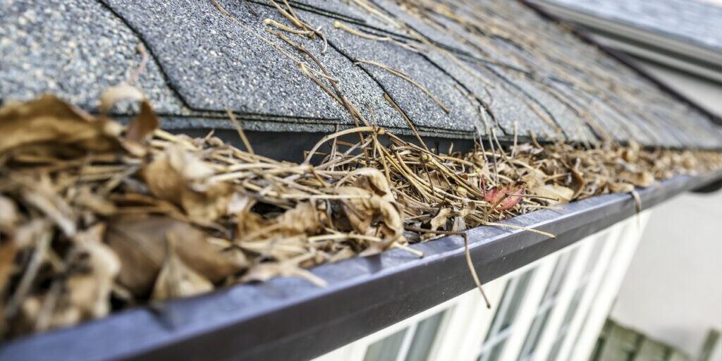 Leaves can cause extensive damage to your roof if not properly cleared.